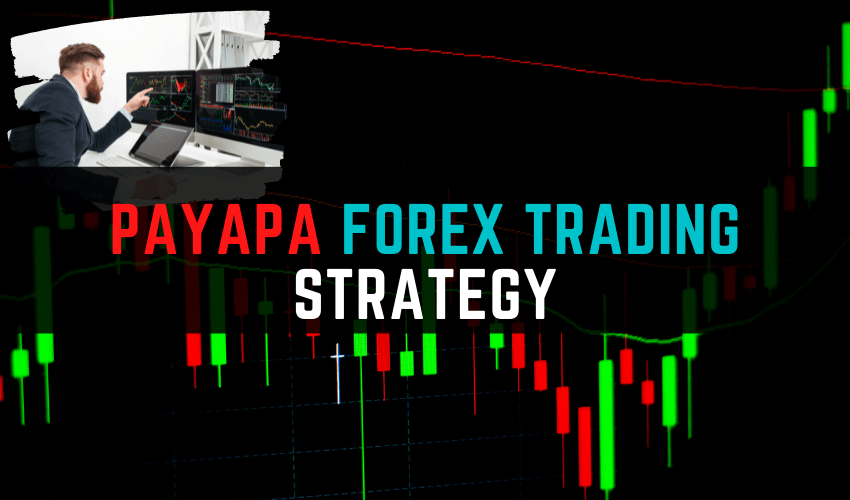 PAYAPA Forex Trading Strategy