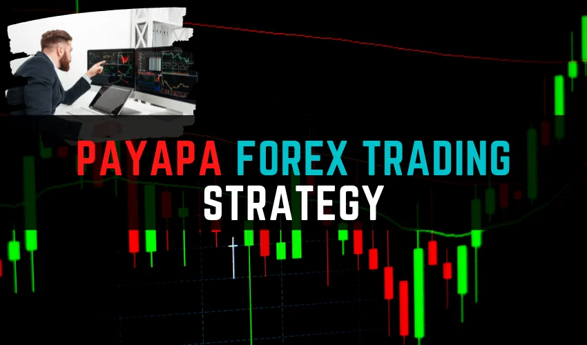 PAYAPA Forex Trading Strategy