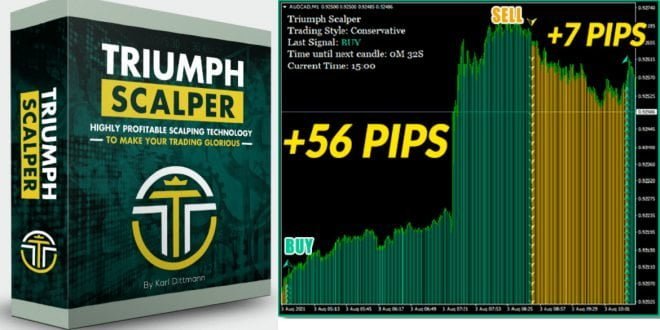 Triumph-Scalper FOREXCRACKED