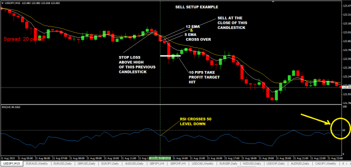 Simple 10 Pips A Day Forex Trading Strategy - ForexCracked