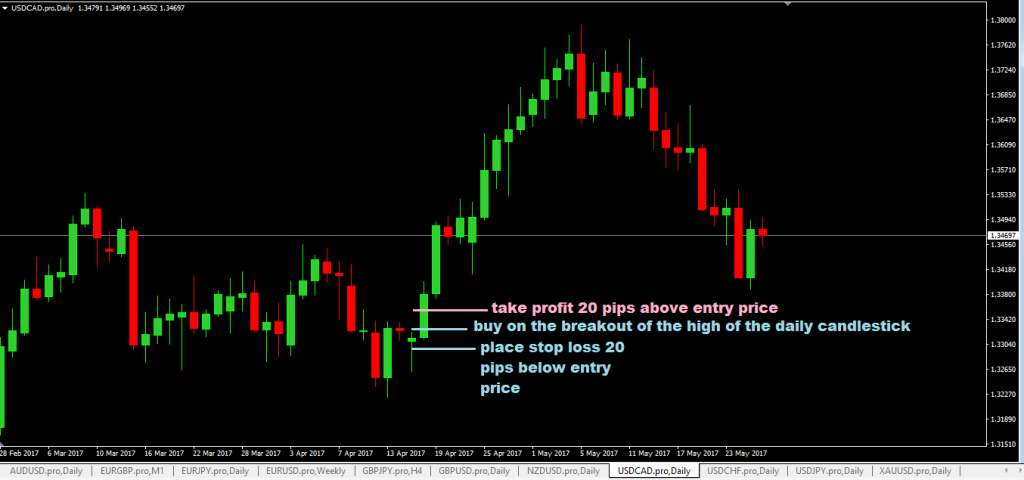 forexcracked.com 20-pips-a-day-forex-trading-strategy