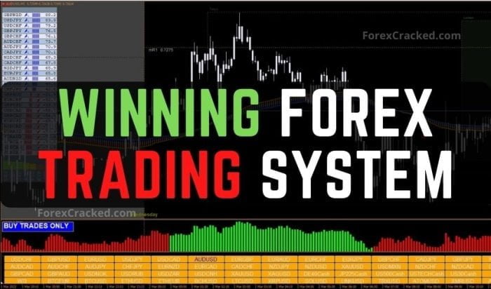 Winning Forex Trading System FREE Download - ForexCracked