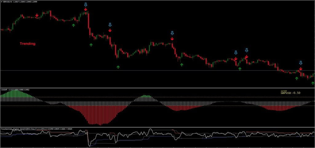 Double Gain Trading System FREE Download ForexCracked.com