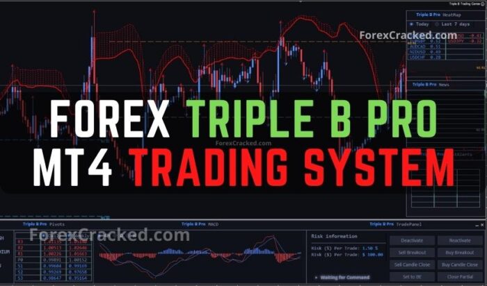 Forex Triple B Pro MT4 Trading System FREE Download - ForexCracked