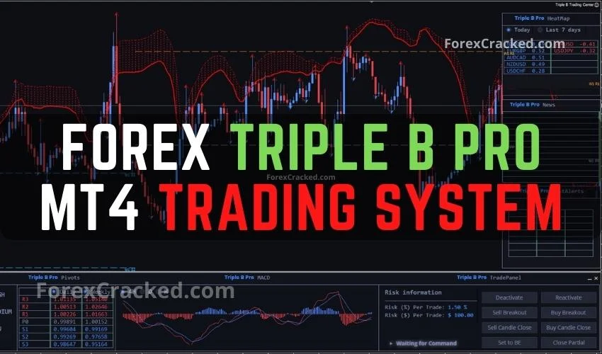 Forex Triple B Pro MT4 Trading System FREE Download ForexCracked.com