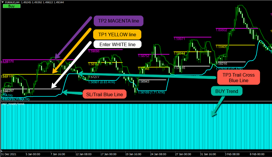 USA Bank Academy FX Hedge Fond Strategy for FREE ForexCracked.com