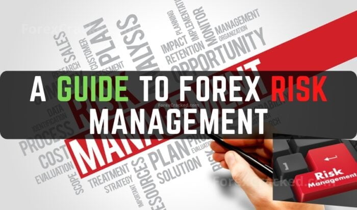 Forex Trading 101: A Guide To Forex Risk Management - ForexCracked