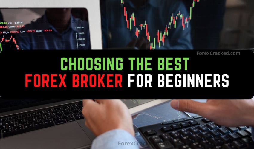 Forexcracked.com Choosing the Best Forex Broker for Beginners