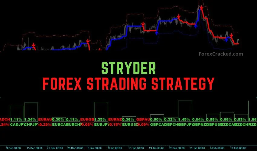 Forexcracked.com Stryder Forex Trading Strategy