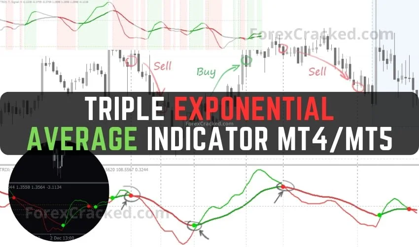 Triple Exponential Moving Average Indicator MT4MT5 FREE Download ForexCracked.com