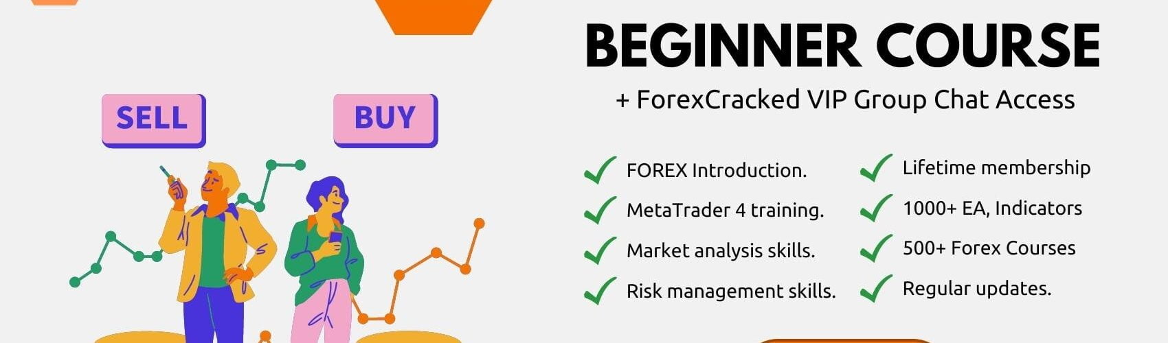 Forex Trading Course for Beginners + Exclusive VIP Group Chat Access