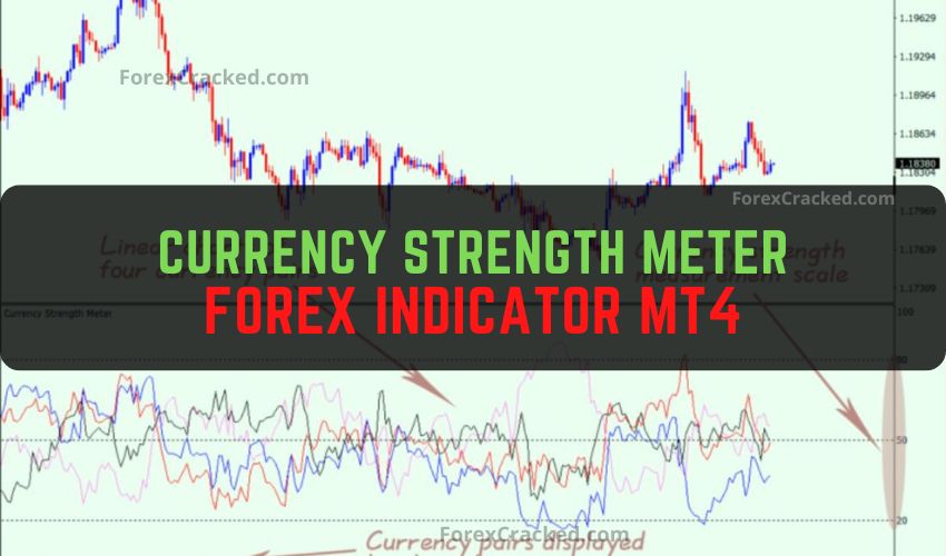 Forexcracked.com Currency Strength Meter Forex Indicator MT4 Free Download