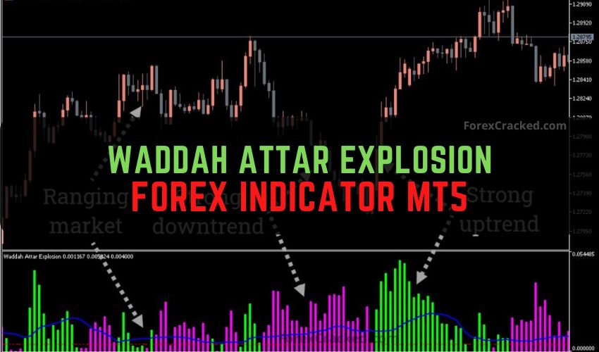 Forexcracked.com Waddah Attar Explosion Forex Indicator MT5 Free Download