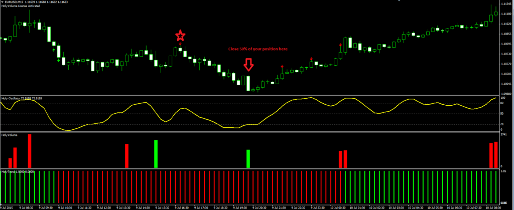 Forex Holy Grail Strategy FREE Download ForexCracked.com