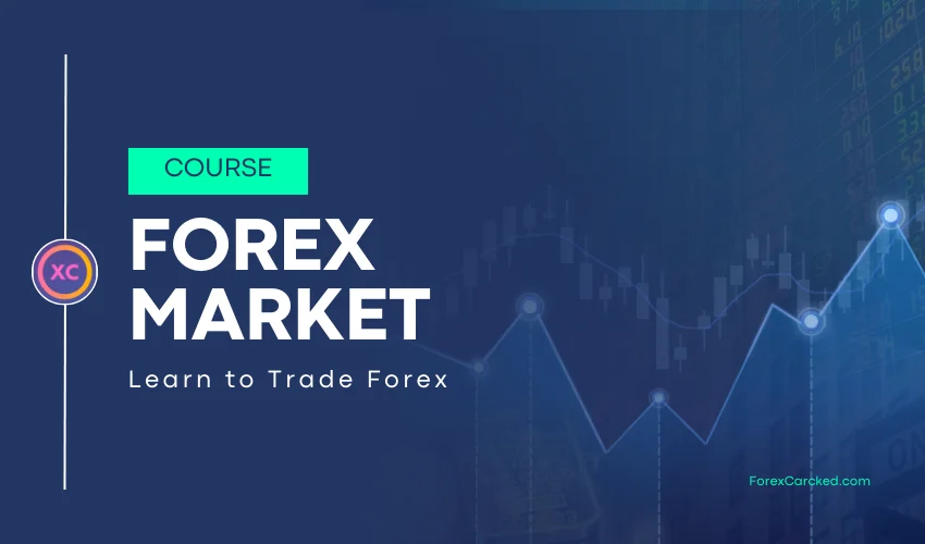 How to Trade Forex