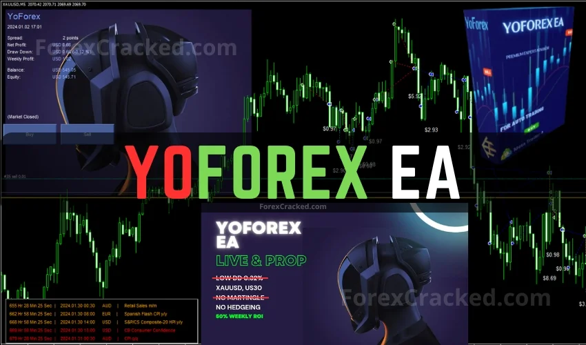 YoForex FREE EA Download ForexCracked.com