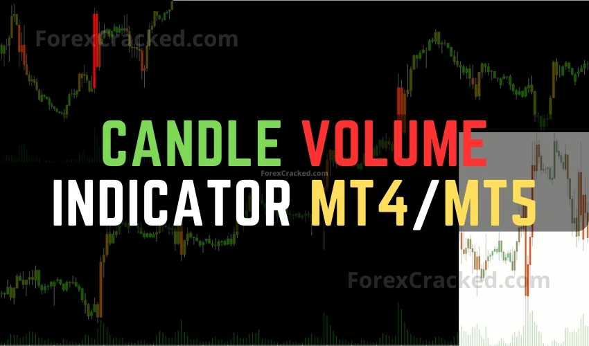 Candle Volume Indicator MT4MT5 FREE Download ForexCracked.com