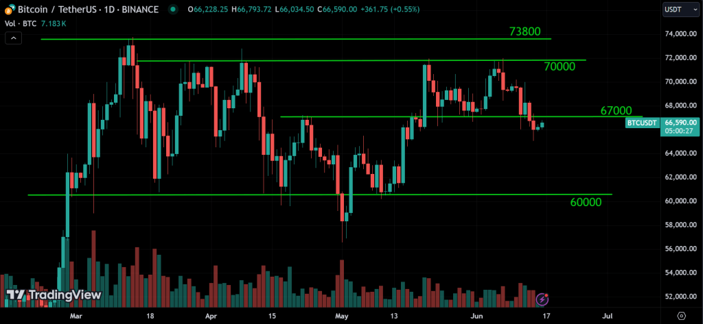 BTC Weekly Market Analysis
forexcracked.com