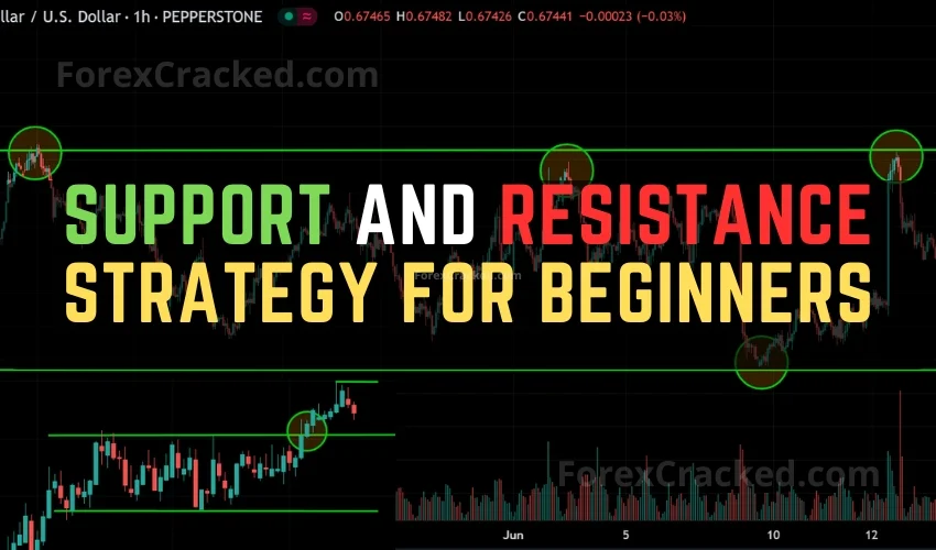 Support and Resistance Forex Strategy for Beginners ForexCracked.com