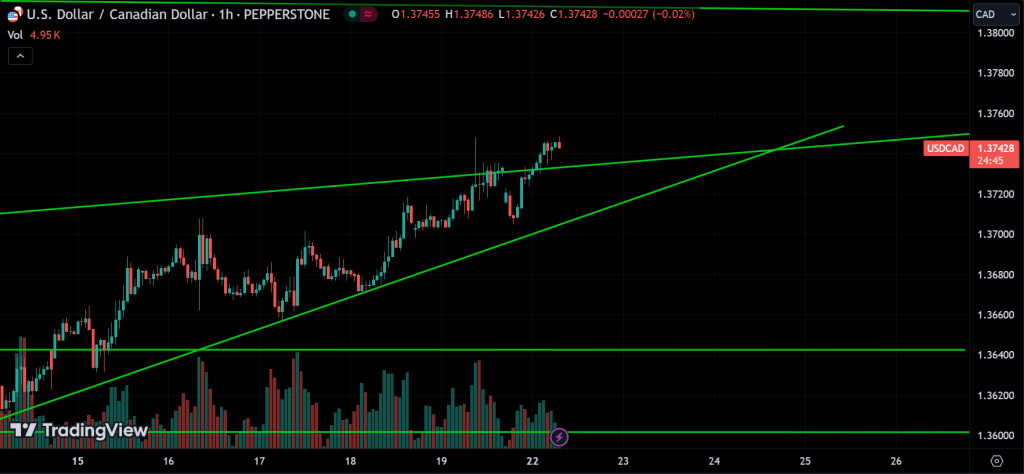 USDCAD Price Action Technical Analysis
forexcracked.com