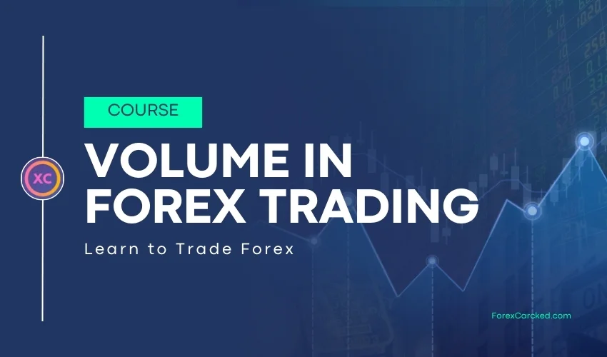 What is Volume in Forex Trading - Beginners Guide