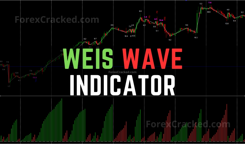 Weis Wave Indicator FREE Download ForexCracked.com