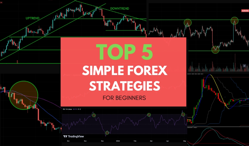 Top 5 Simple Forex Strategies for Beginners ForexCracked.com (1)