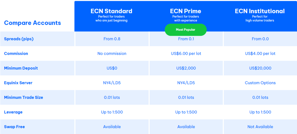 BlackBull Account Comparison