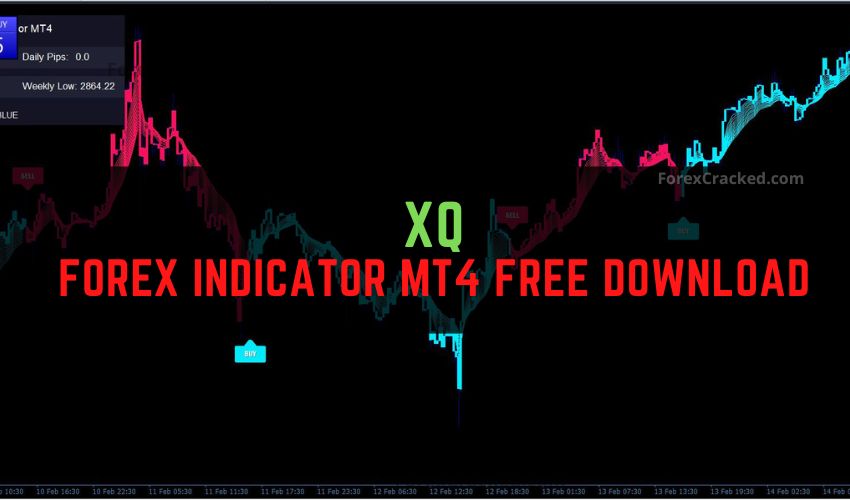 forexcracked.com XQ Forex Indicator MT4 Free Download