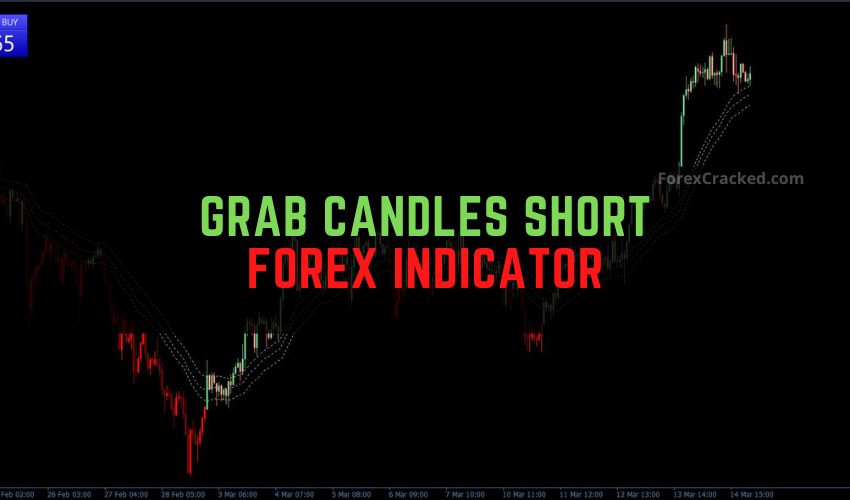 forexcracked.com GRaB Candles Short Forex Indicator for MT4 Free Download