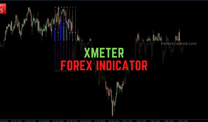 forexcracked.com Xmeter Forex Indicator Free Download