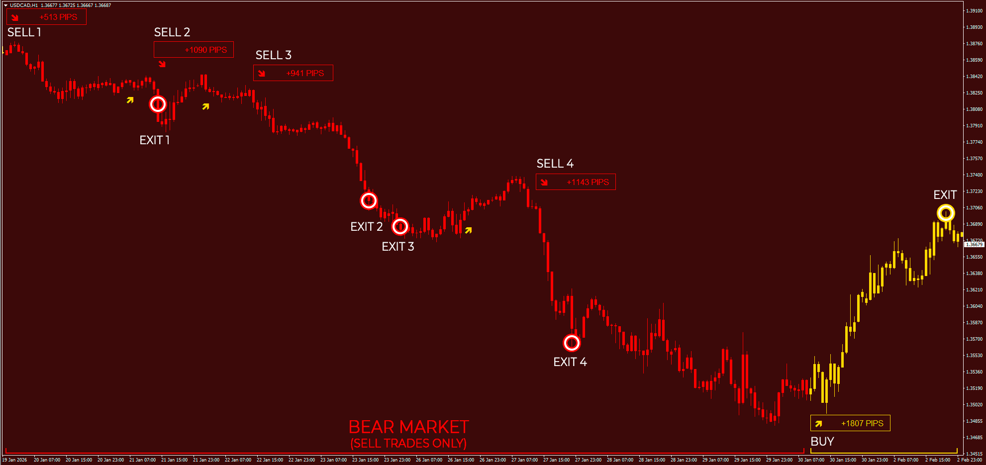Forex Gladiator in action